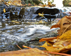 短信免费轰炸网页入口
